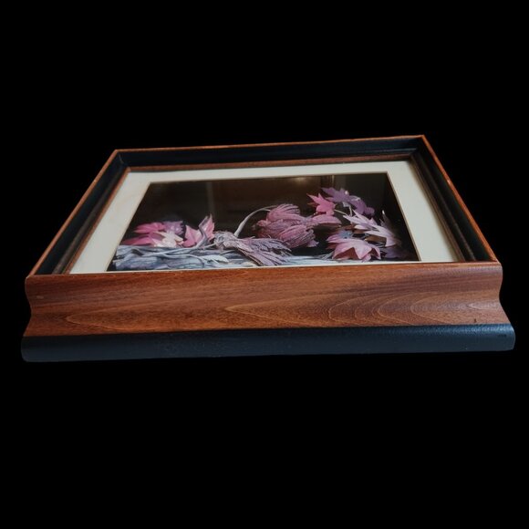 Vintage MCM Feather Art Shadow Box  3D Art Pastel Birds Artisan Handcrafted - Picture 9 of 15